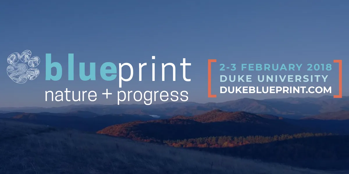 logo design and branding for 2018 Bluprint ideation conference (with team!)