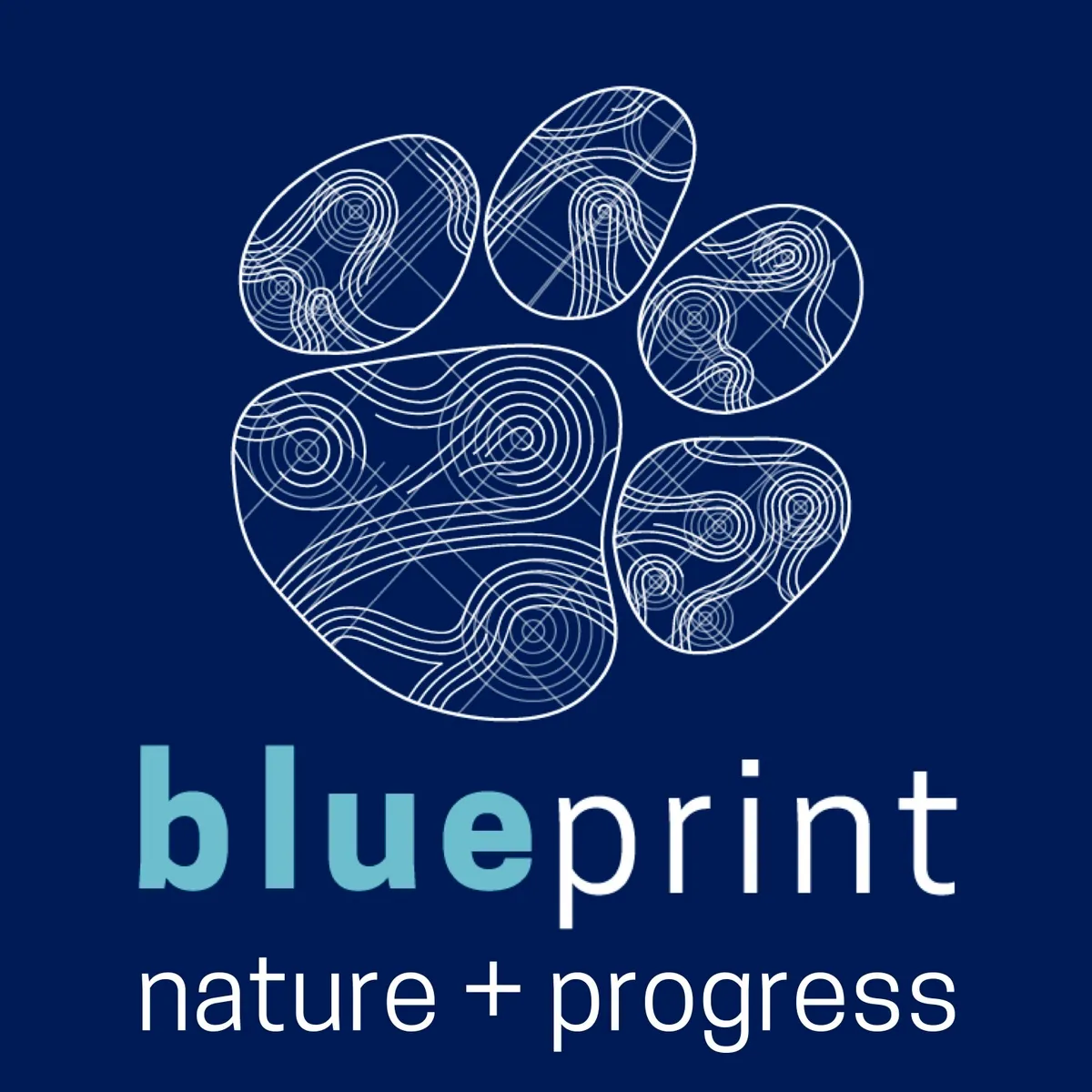 logo design and branding for 2018 Bluprint ideation conference (with team!)
