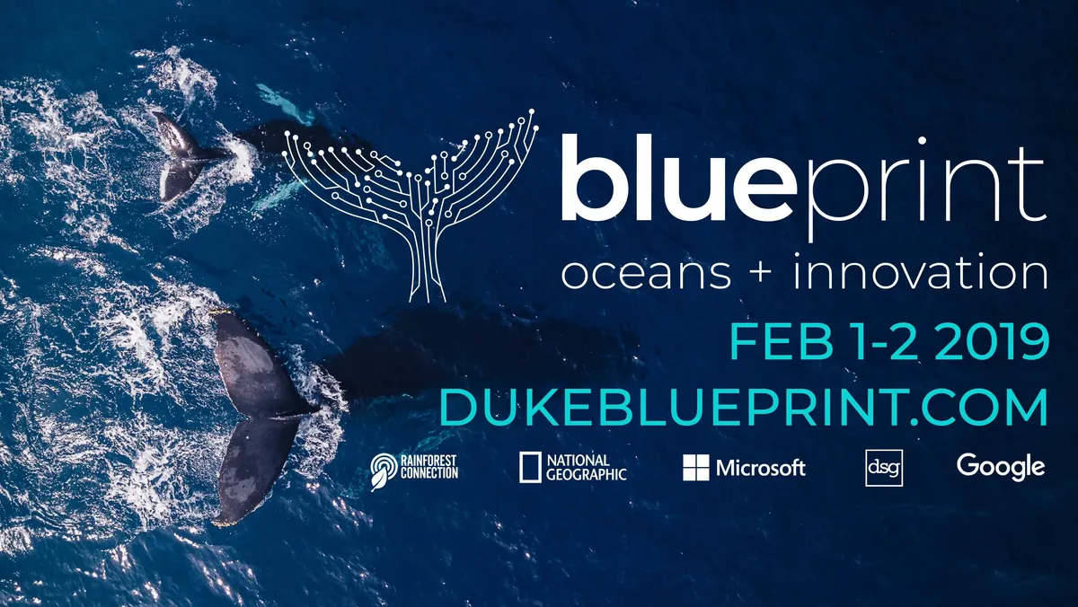 logo design and branding for 2019 Bluprint ideation conference (with team!)