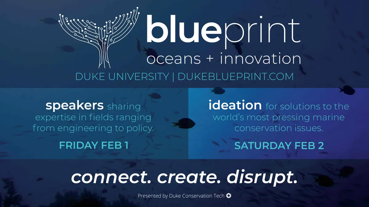 logo design and branding for 2019 Bluprint ideation conference (with team!)