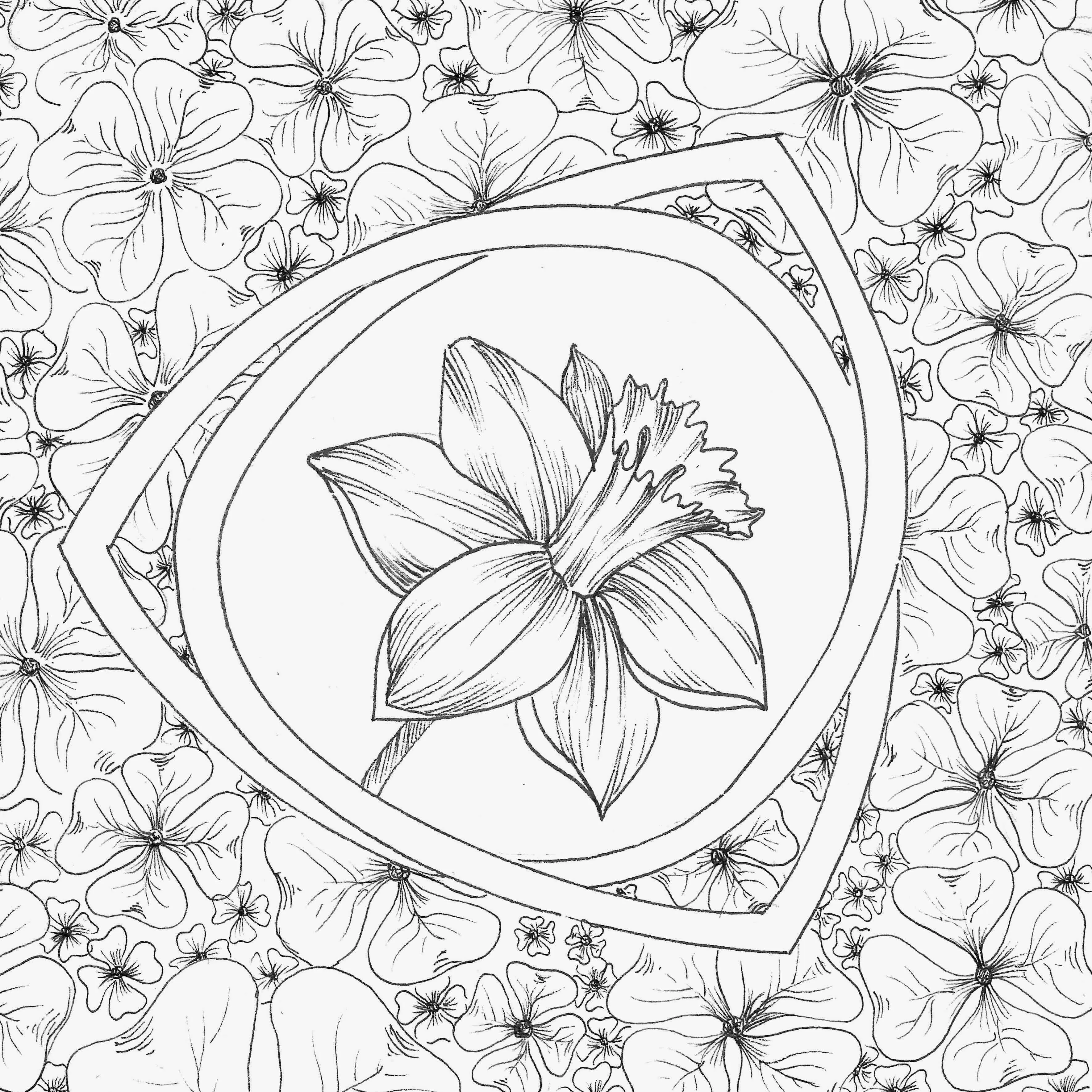 line drawing of a daffodil in a Celtic knot surrounded by shamrocks