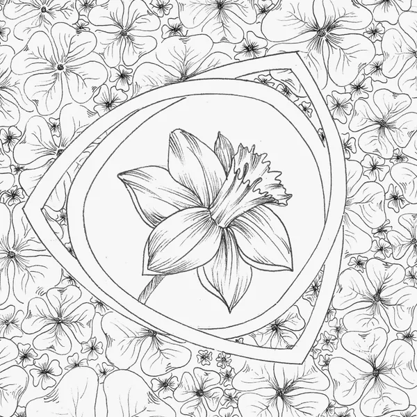 line drawing of a daffodil in a Celtic knot surrounded by shamrocks