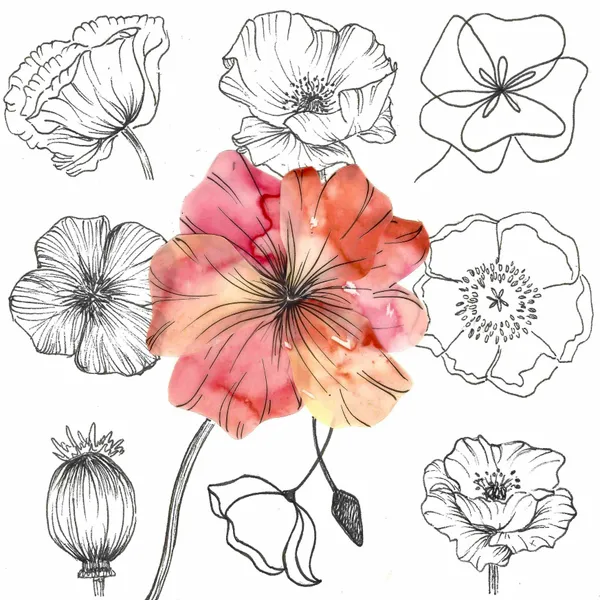 paper-cut poppy made of translucent red-orange paper surrounded by a grid of abstract poppy line drawings