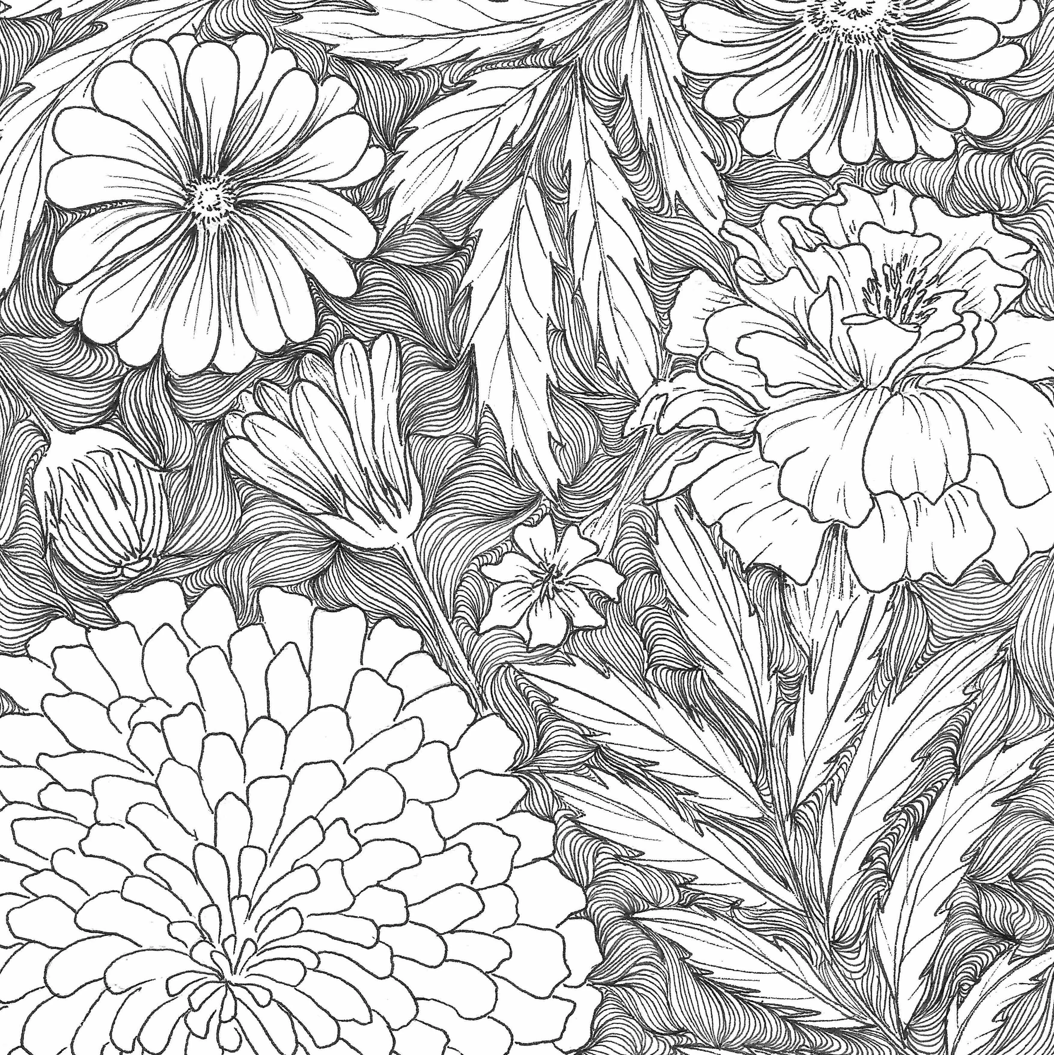 line drawing of marigolds with an abstract pattern filling the background
