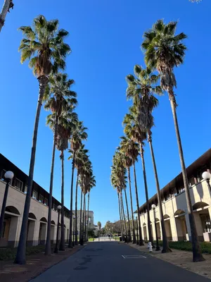 Bright white sunshine after a few cloudy days