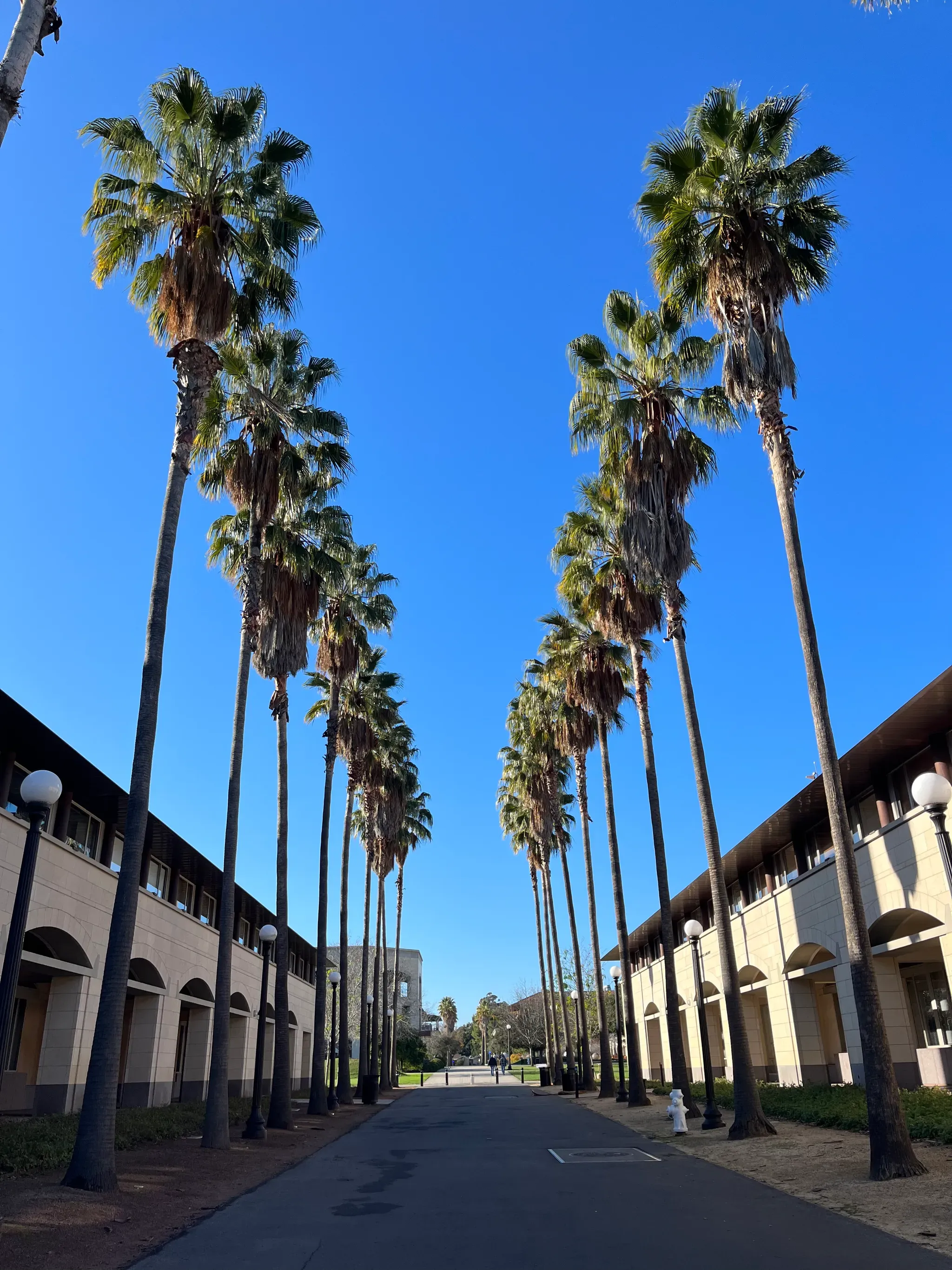 Bright white sunshine after a few cloudy days