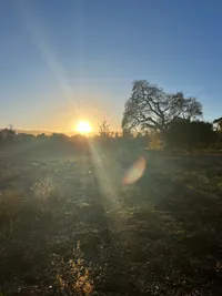 Warm sunset sunshine