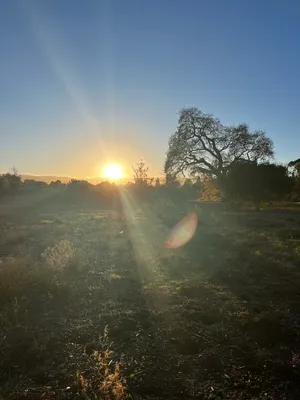 Warm sunset sunshine