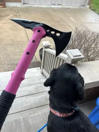 Walking with S and the dogs