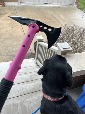 Walking with S and the dogs