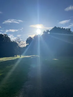 Bright white morning sunshine, post-stormy night