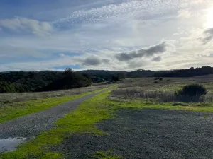 Hike-wander & crossword with A