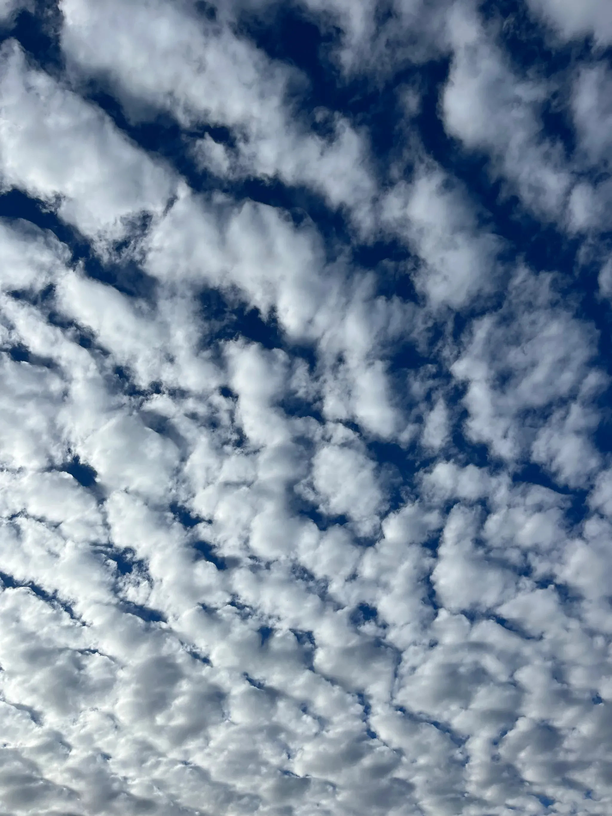 Patterned clouds in the sky