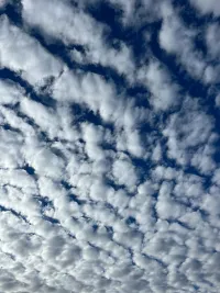 Patterned clouds in the sky