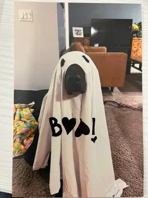 Valentine for Laguna