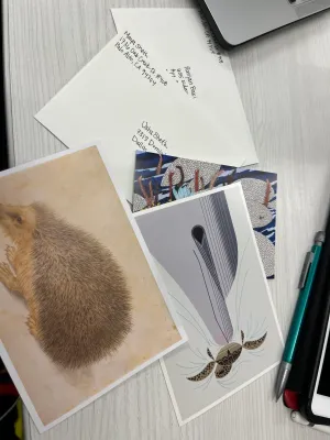 Writing Valentine’s day cards for family, too