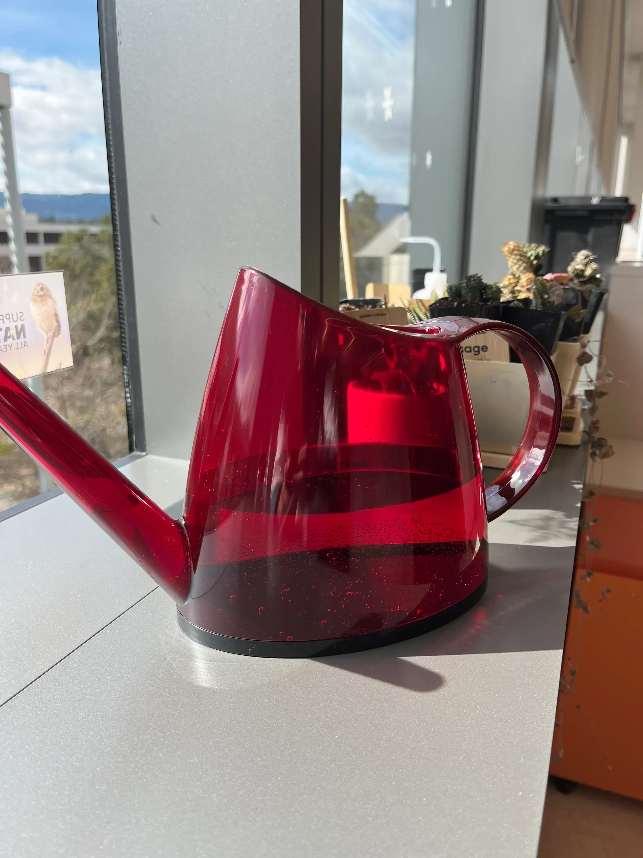 Watering can and plants glowing in the sun