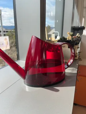 Watering can and plants glowing in the sun