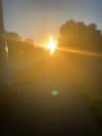 Bright morning sun for the first time in awhile