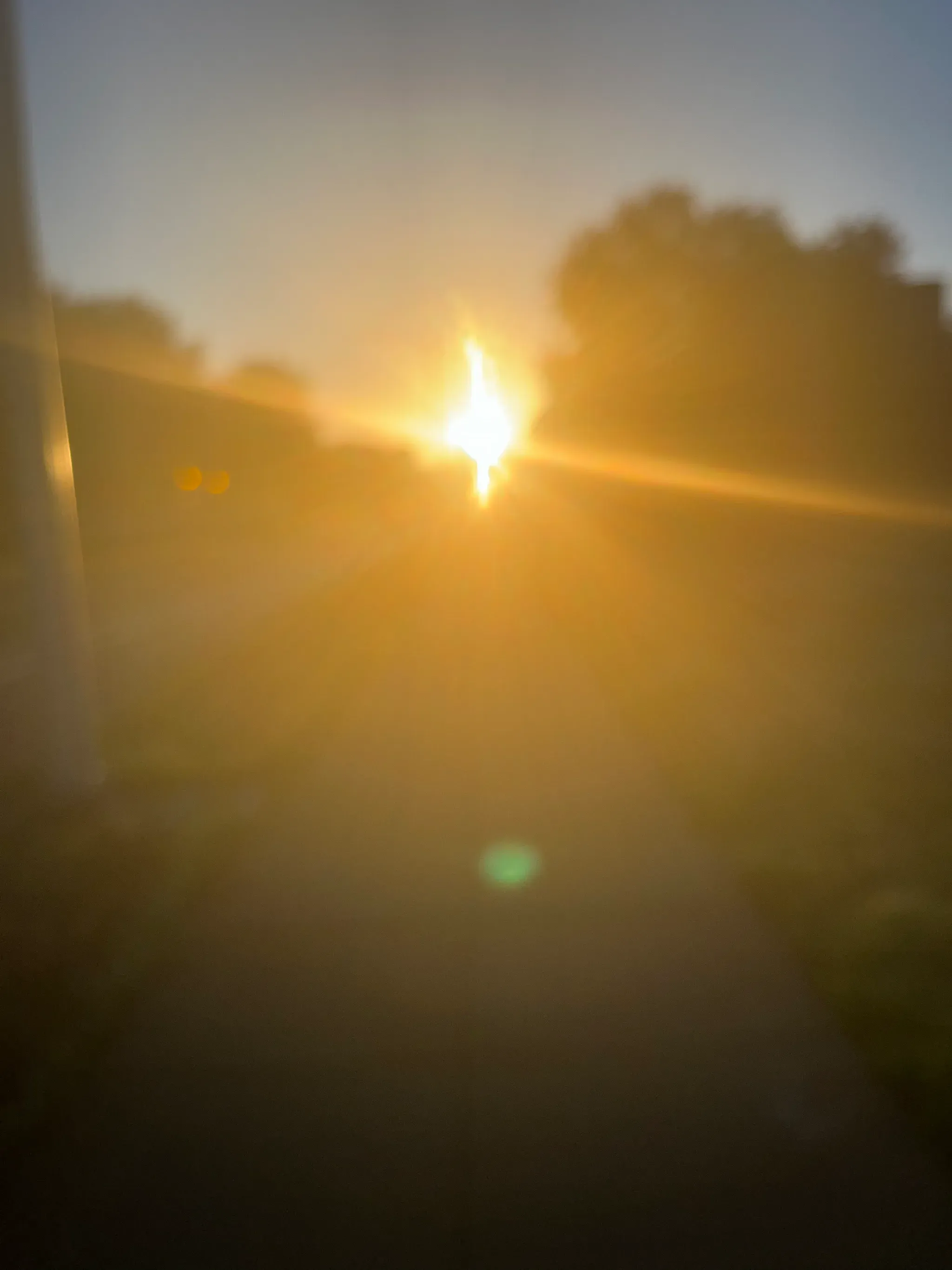 Bright morning sun for the first time in awhile