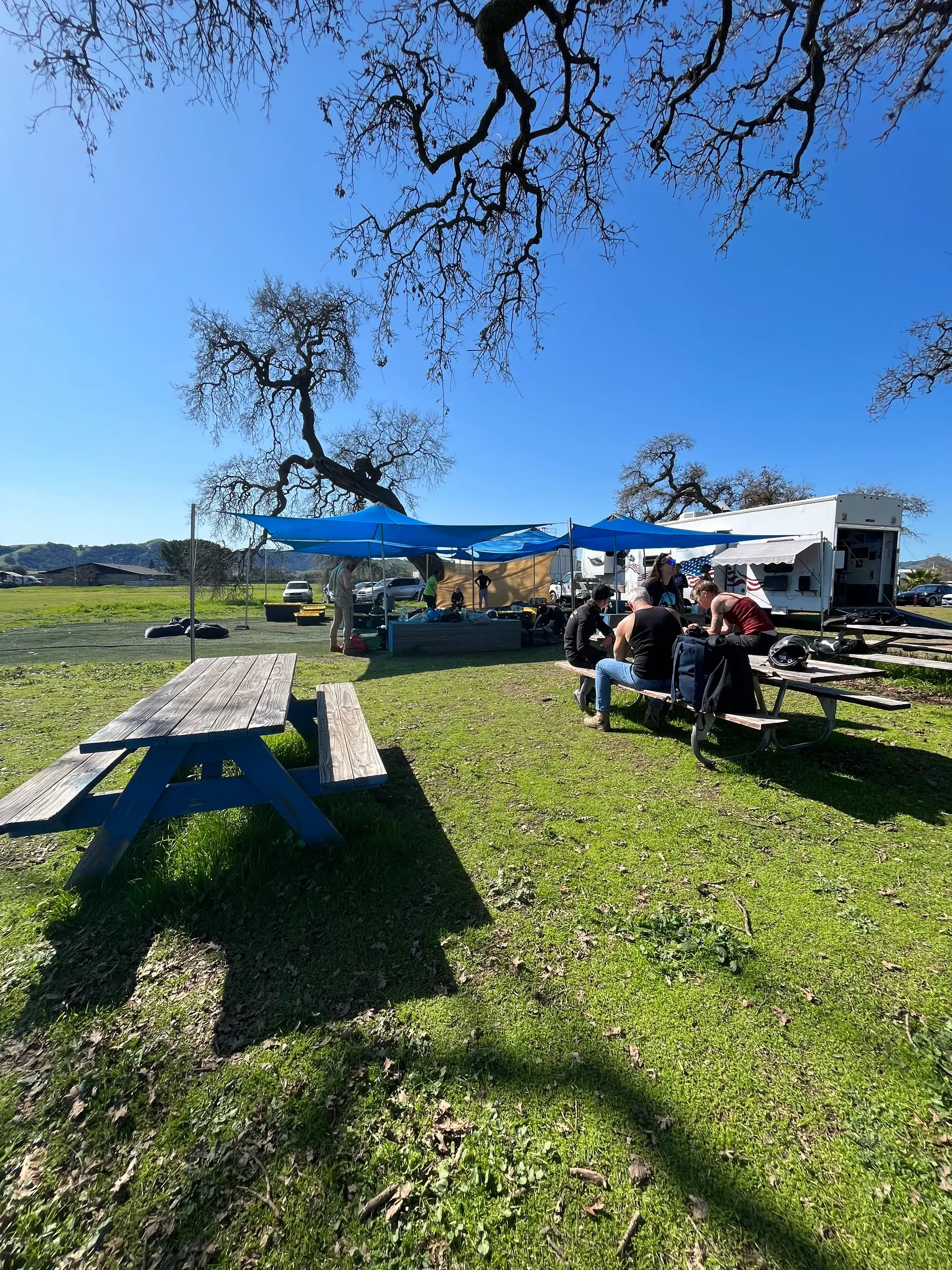 Perfect blue skies, bright sun, and green grass (bird’s eye view!)