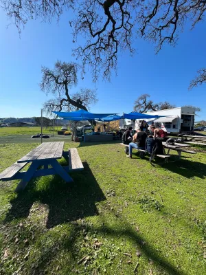 Perfect blue skies, bright sun, and green grass (bird’s eye view!)