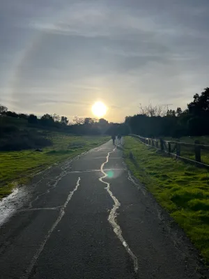 Coffee, the Dish, deer, and life chats with A