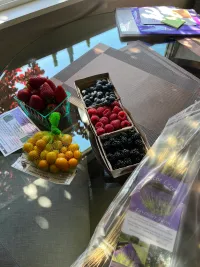 Farmer’s Market in Menlo Park with D