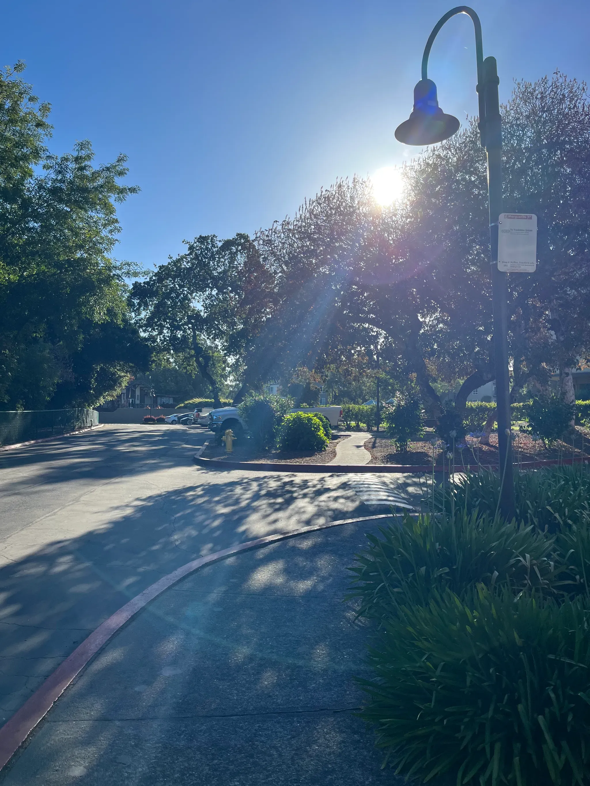 FRESH, cool, morning air