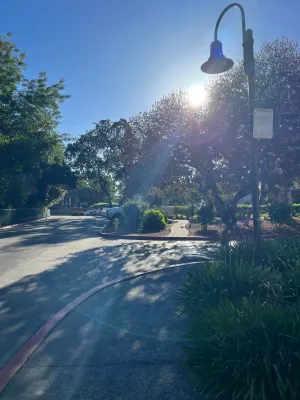 FRESH, cool, morning air