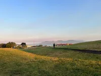 Morning walk by the sea in SF, ft. happy dogs