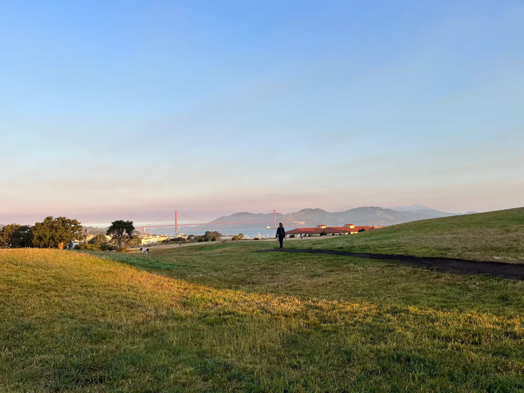 Morning walk by the sea in SF, ft. happy dogs