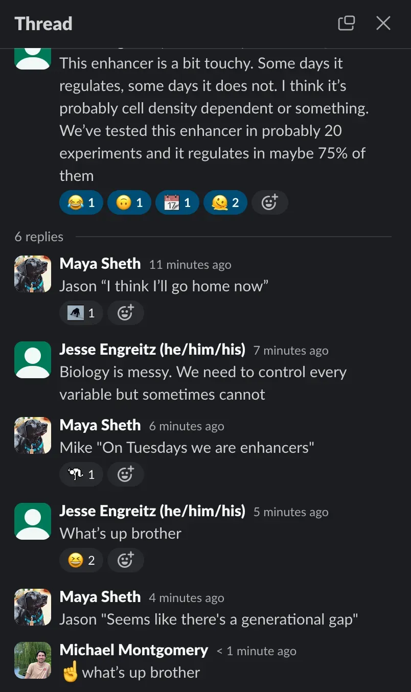 “On Tuesdays we are enhancers”