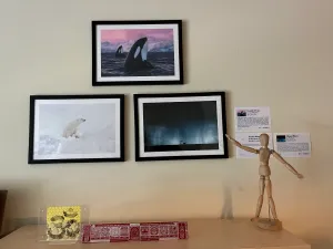 Hanging up my 100 for the Ocean prints with D