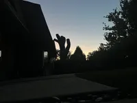 Falling asleep and waking up outside, the moon and the trees, the cars driving by