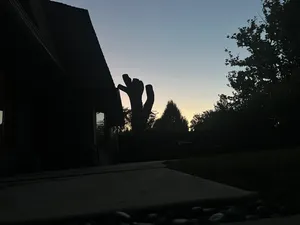 Falling asleep and waking up outside, the moon and the trees, the cars driving by