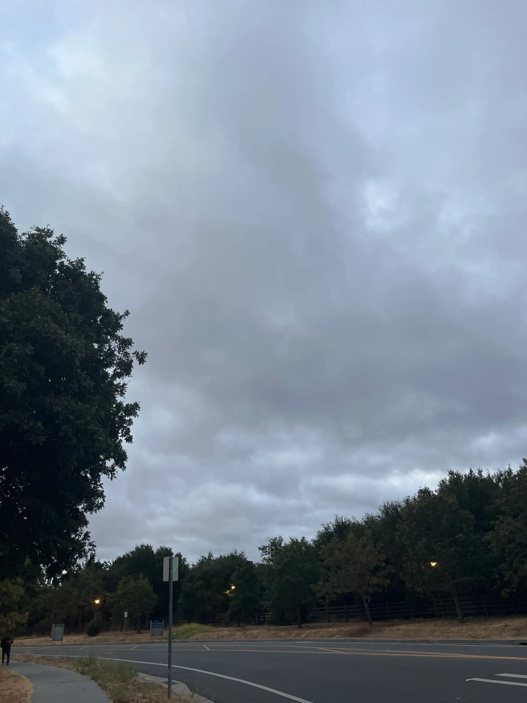 Cloudy-ish morning walk