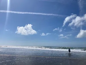 Beach and ocean and birds with M and P