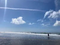 Beach and ocean and birds with M and P