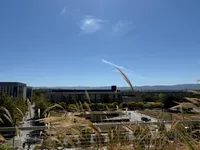 Exploring the rooftop of the hospital parking lot with J