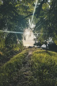 That moment when the sun came out after raining all day while we were at V's place and the view opened up to the coast and the horses started glowing