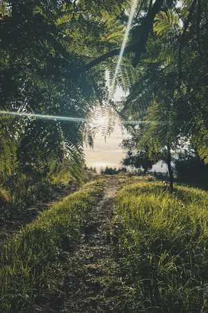 That moment when the sun came out after raining all day while we were at V's place and the view opened up to the coast and the horses started glowing