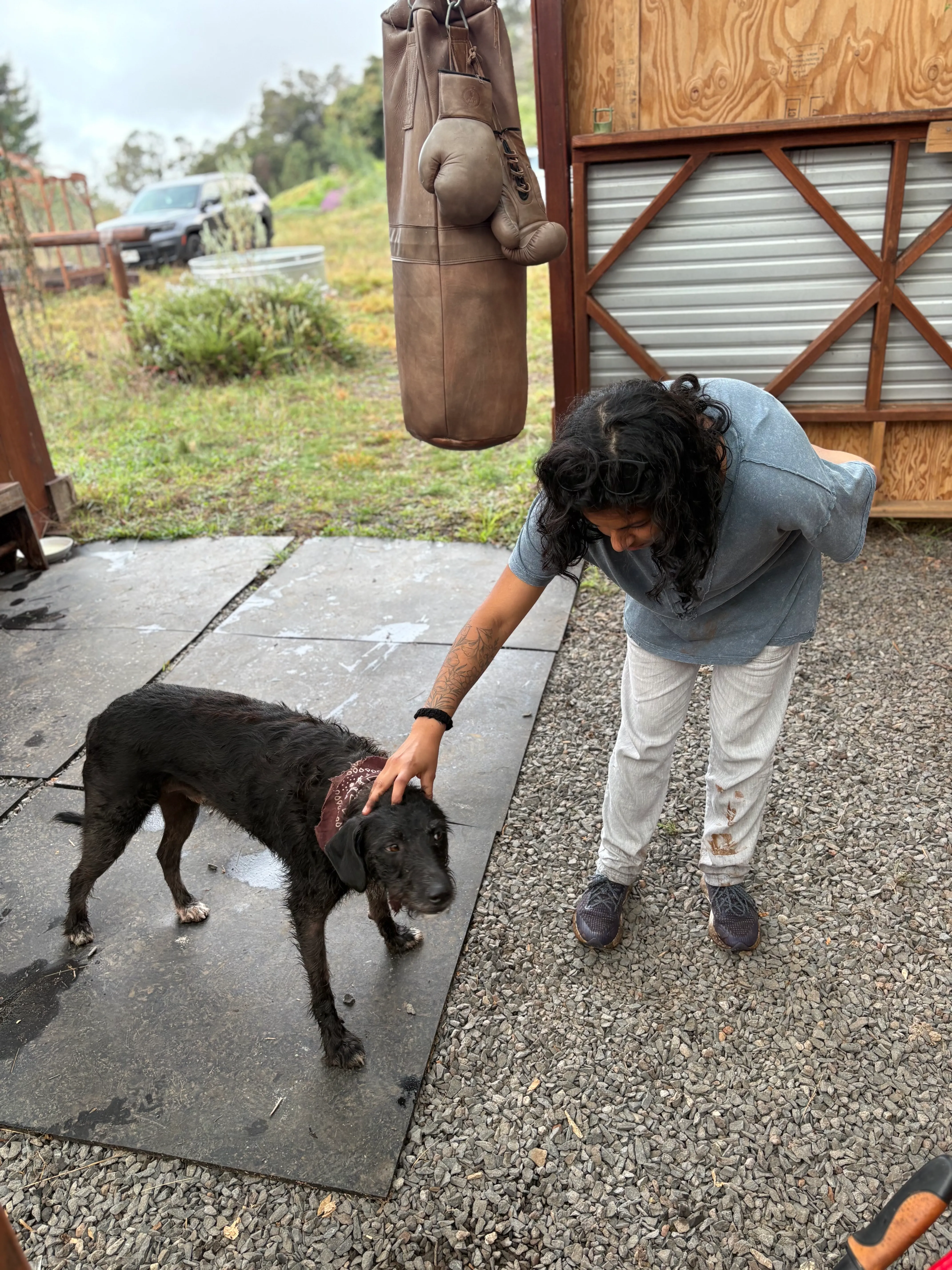 This photo of Udo looking sooooo not happy that I'm petting him