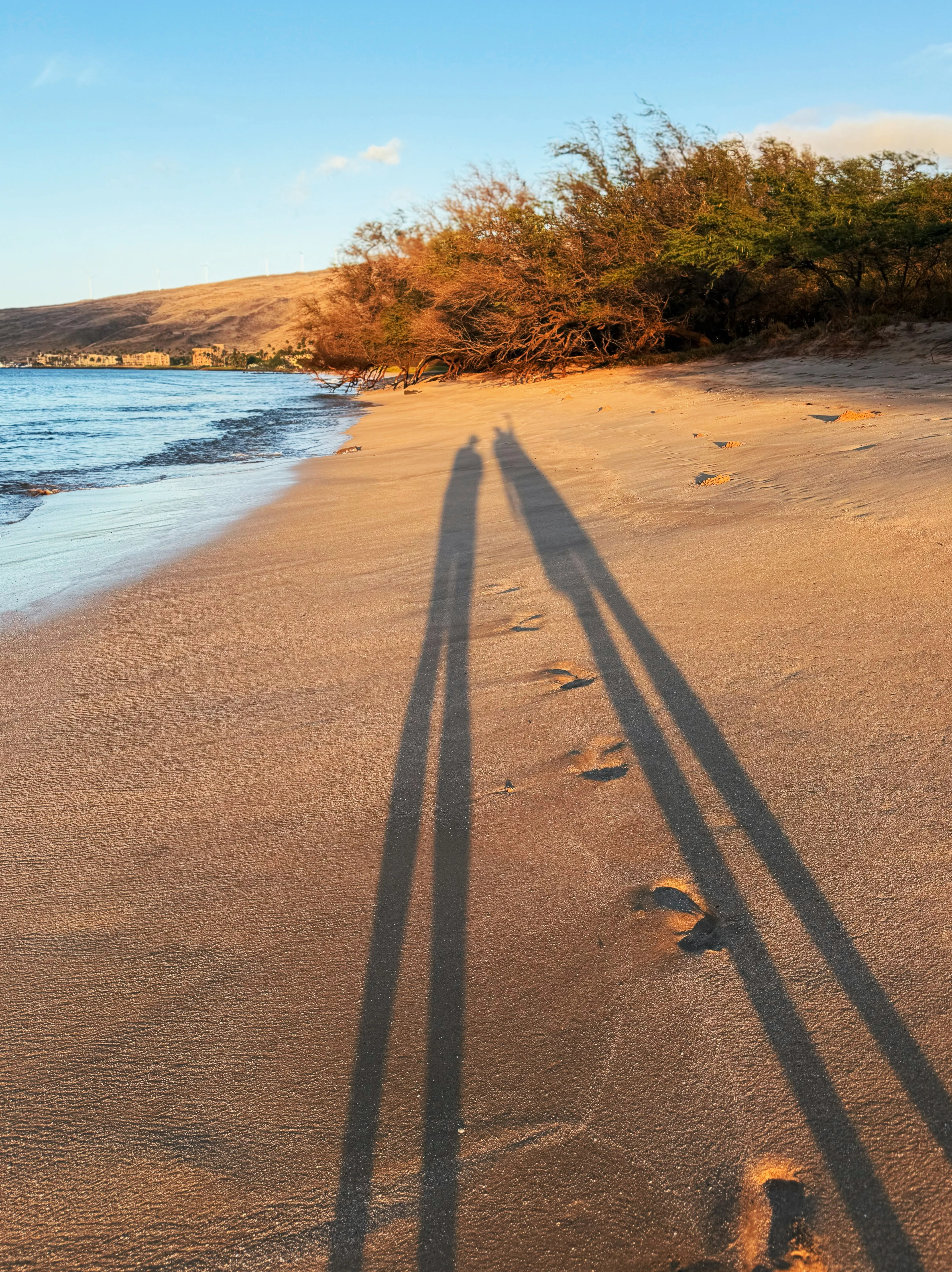 D and I sort of being part of the Turtle Team when walking on the beach at sunrise