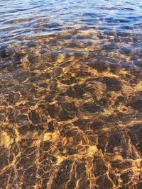 So many observations of the patterns of water in light, in sand, on the surface, and on the ocean floor
