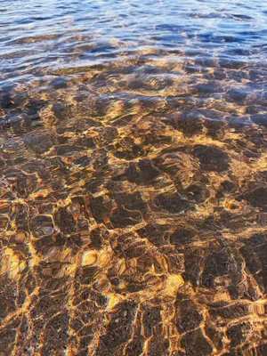 So many observations of the patterns of water in light, in sand, on the surface, and on the ocean floor