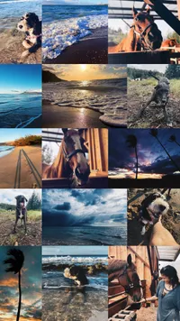 VSCO revitalization and making my vacation movie