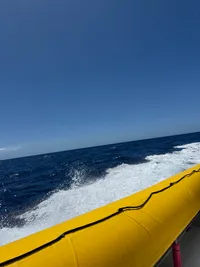 A saying "the sea is confused" with the wind blowing one way and the currents another, and the resulting rollercoaster boat ride back to Maui (but no worries, our captain was an Alaskan fisherman!)