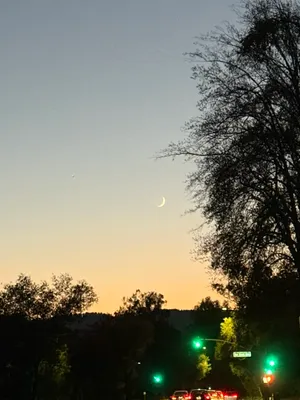Pretty crescent moon at dusk after my run
