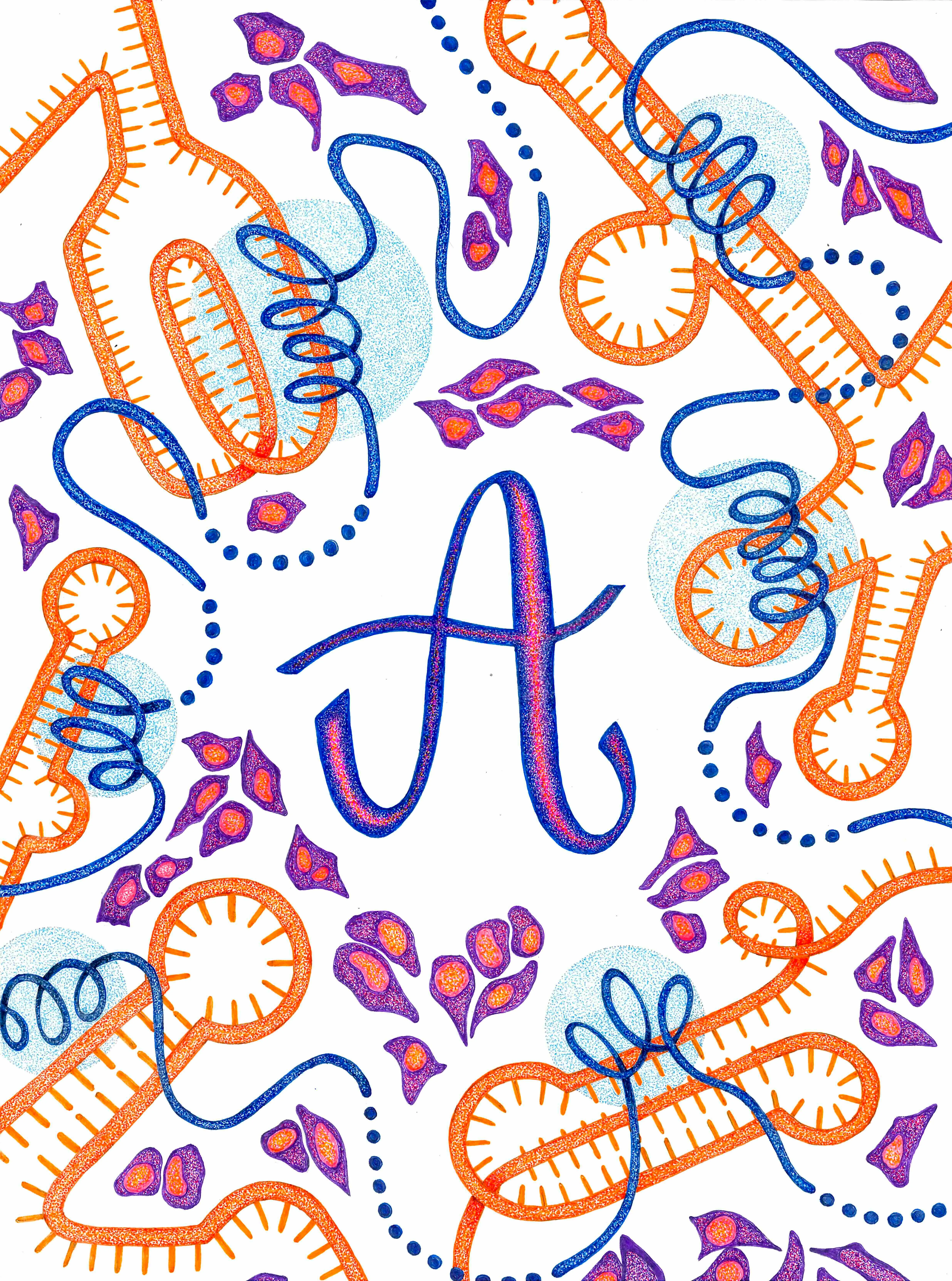 stippled abstract depiction of RNAs and proteins in orange, purple, and blue surrounding the letter A